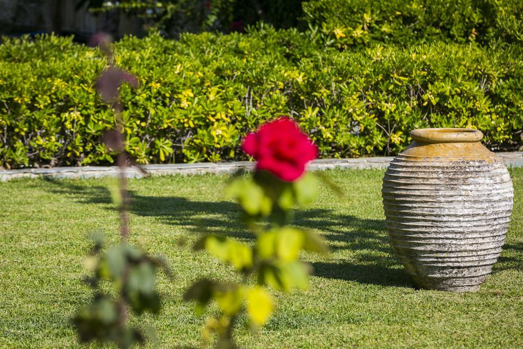 سفوروناتا Olive Grove Studios & Apartments المظهر الخارجي الصورة